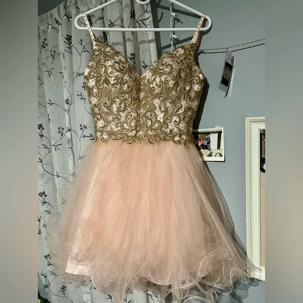 Blush Pink Tulle Homecoming Dress Gold Embroidered Bodice Short Prom Party XS